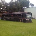 Random bus! Random bus!